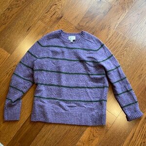 J.Crew purple and green striped wool sweater.